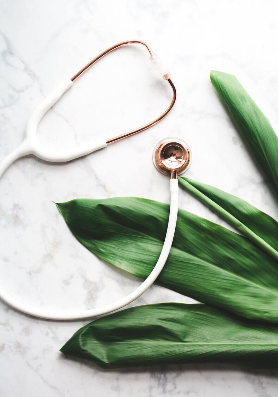 white stethoscope sitting with plant leaves on a marble top